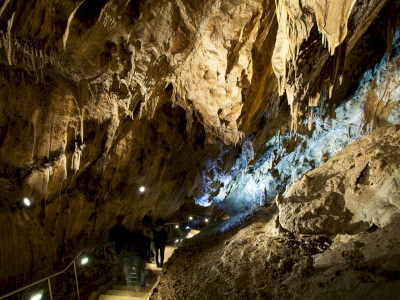 IMG_6869